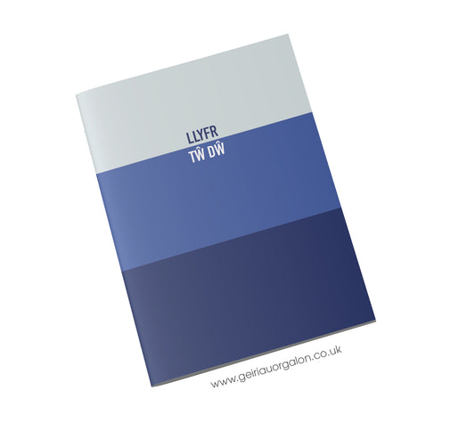 Llyfr Nodiadau Bach - Tw Dw (Streipiau Glas)
