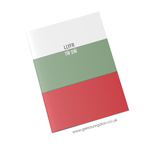Llyfr Nodiadau Bach - Tw Dw (Streipiau Cymraeg)